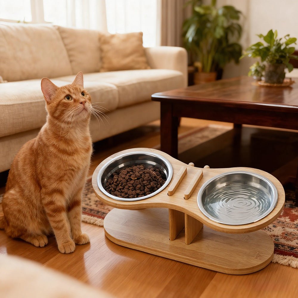 Adjustable Tilted Pet Stand With A Feeding Bowl - Oopsdadforgot.com
