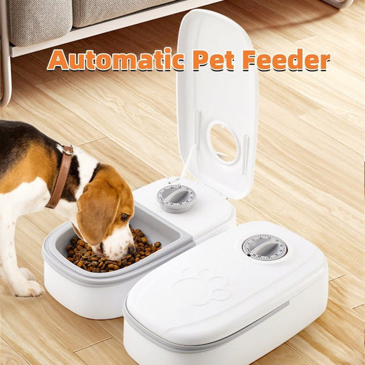 Automatic Pet Feeder Smart Food Dispenser For Cats Dogs Timer Stainless Steel Bowl Auto Dog Cat Pet Feeding Pets Supplies - Oopsdadforgot.com