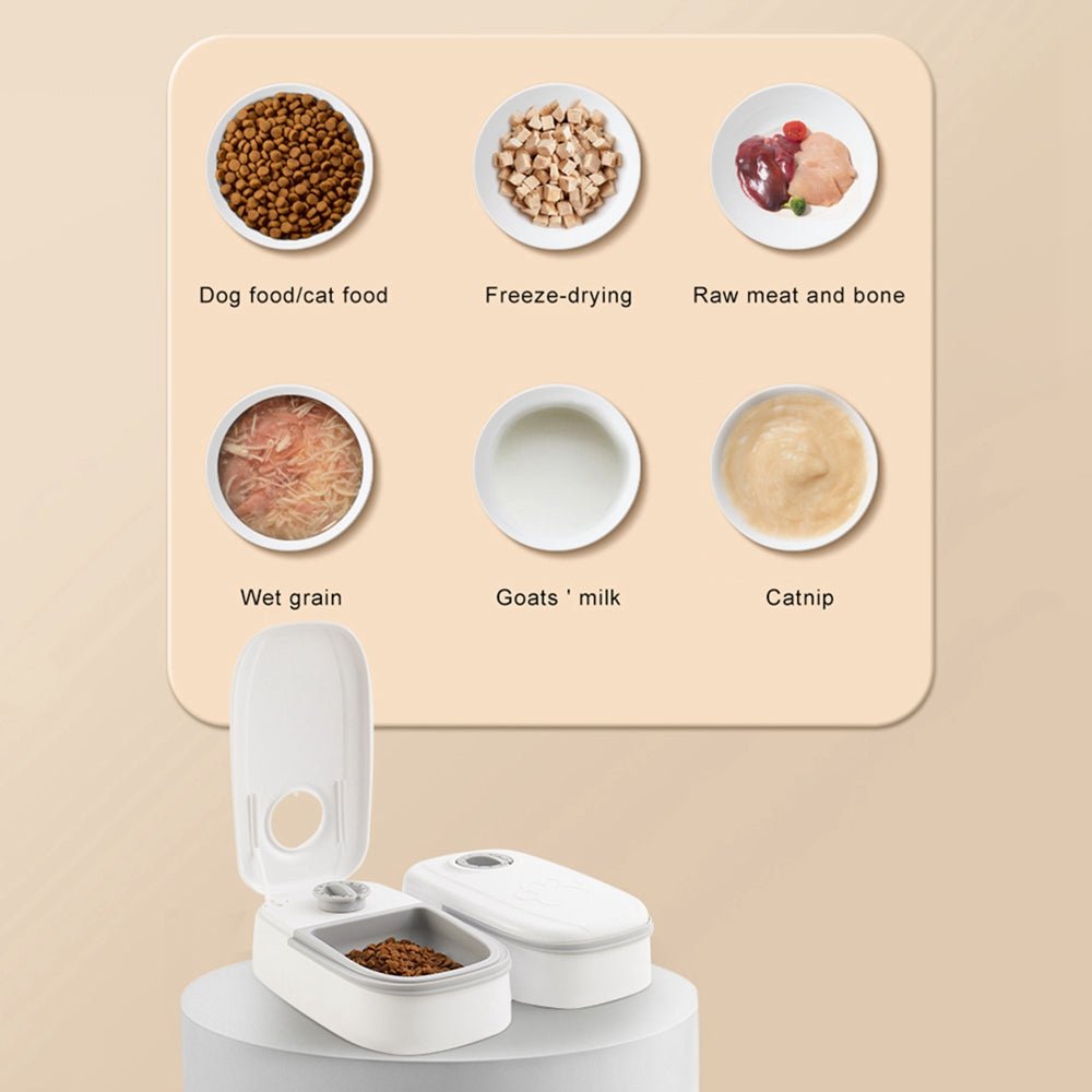 Automatic Pet Feeder Smart Food Dispenser For Cats Dogs Timer Stainless Steel Bowl Auto Dog Cat Pet Feeding Pets Supplies - Oopsdadforgot.com