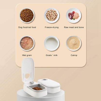 Automatic Pet Feeder Smart Food Dispenser For Cats Dogs Timer Stainless Steel Bowl Auto Dog Cat Pet Feeding Pets Supplies - Oopsdadforgot.com