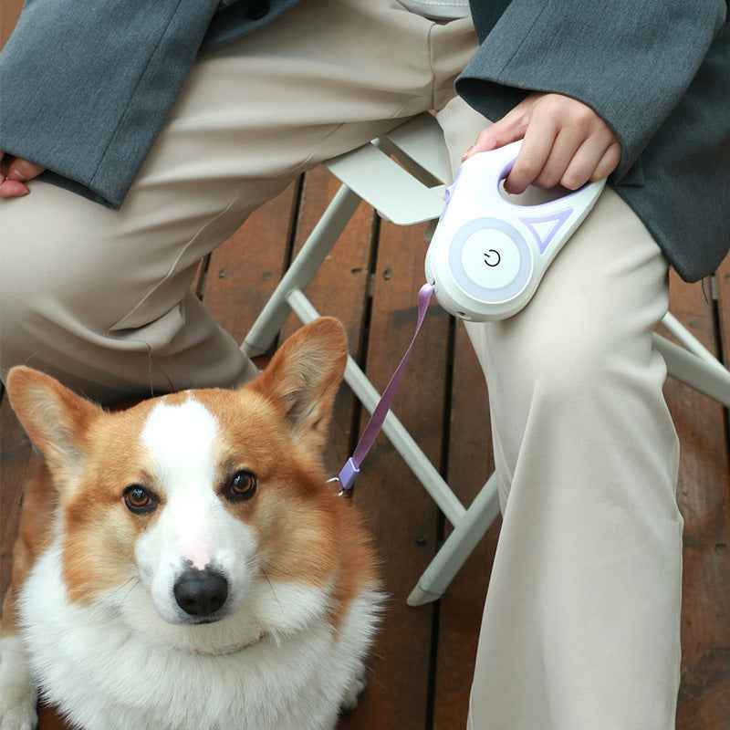 Dog Leash Retractable Leash And Dog Collar Spotlight Automatic Pet Dog Cat Traction Rope For Small Medium Dogs Pet Product - Oopsdadforgot.com