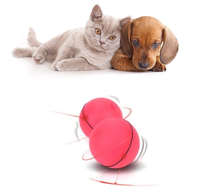LED Laser Electronic Rolling Pet Funny Cat Toy Ball - Oopsdadforgot.com