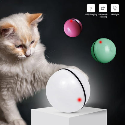 LED Laser Electronic Rolling Pet Funny Cat Toy Ball - Oopsdadforgot.com