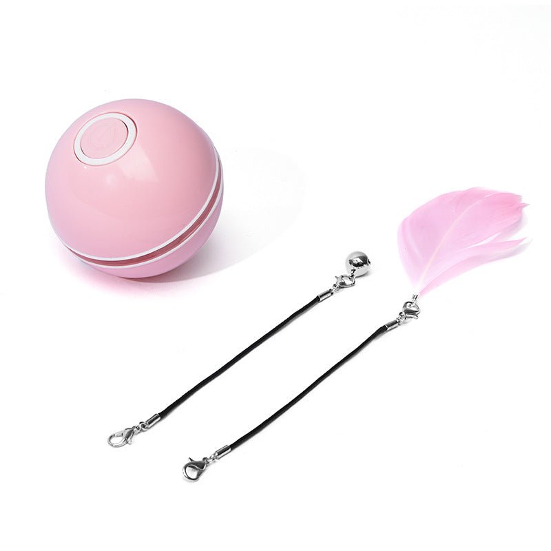 LED Laser Electronic Rolling Pet Funny Cat Toy Ball - Oopsdadforgot.com