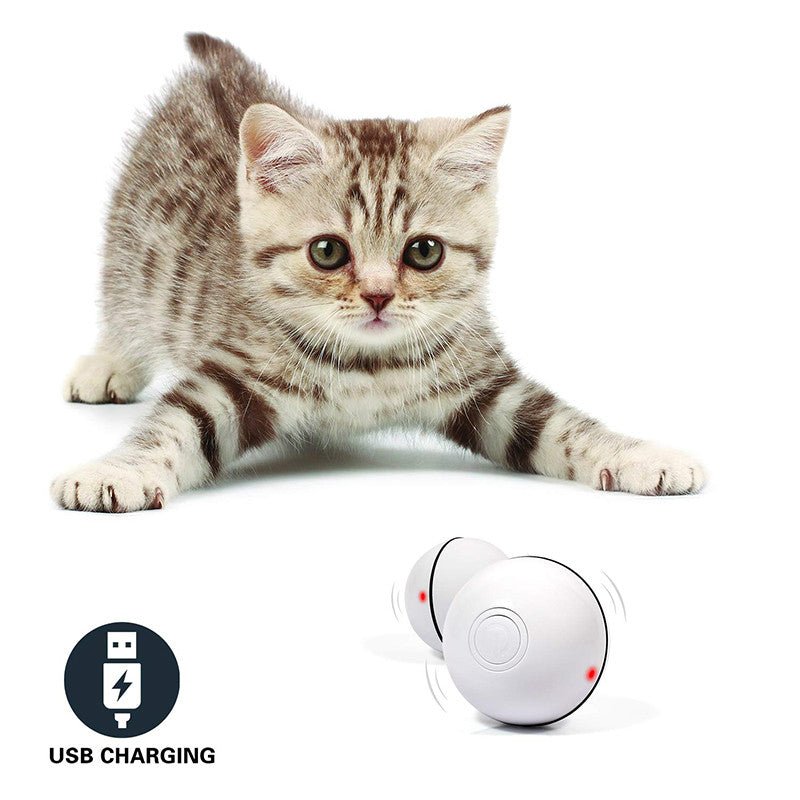 LED Laser Electronic Rolling Pet Funny Cat Toy Ball - Oopsdadforgot.com