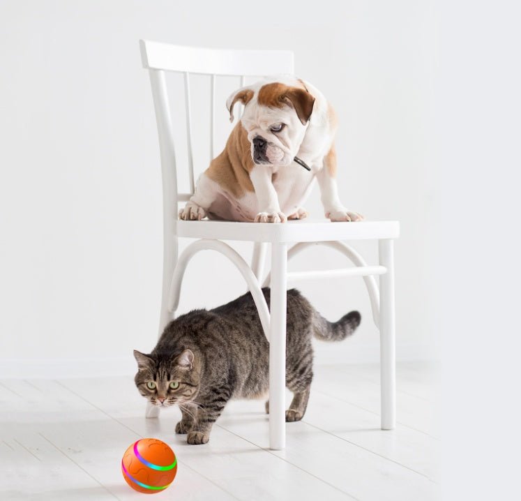Pet New Cat Wicked Ball Toy Intelligent Ball USB Cat Toys Self Rotating Ball Automatic Rotation Ball - Oopsdadforgot.com