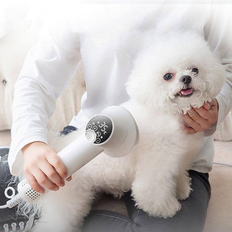 Smart Pet Hair Dryer Dog Golden Retriever Cat Grooming Hairdressing Blow & Comb Silent No Harm Pet Cleaning Supplies Pet Products - Oopsdadforgot.com